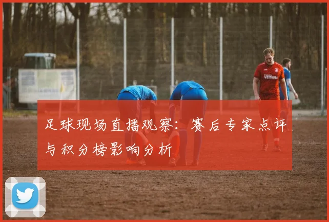足球现场直播观察：赛后专家点评与积分榜影响分析